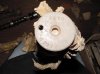 DSC09292.jpg