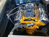 01010_hgzuboCis23_1200x900 (Small).jpg