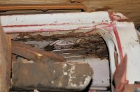 Carpet padding stuck on rust-free floor.jpg