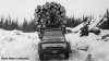 '56 Ford 10 wheeler log truck.jpg