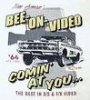 Bee on video.jpg