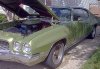 PONTIAC PIC.jpg