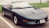 1995-01.jpg