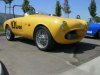 redding nardi.jpg