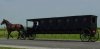 9017530434803-Amish-Limo.jpg