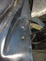 IMG_20201101_172343079.jpg