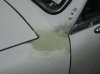 DSC00071.jpg