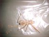 camel spider.jpg