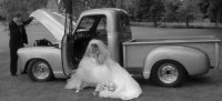 657964-kris truck2.jpg