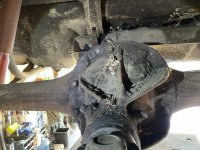 2021-07-26 18.44.58.jpg