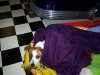 Random pics 002.jpg