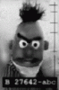 bert.gif