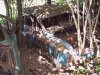 IMG00065.JPG
