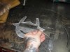 DSCN3123.JPG