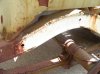 100_3857.jpg