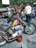 100_6174a.JPG