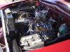 DSC01264.jpg