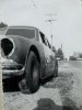 1949_16.jpg