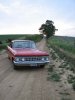 cars078.jpg