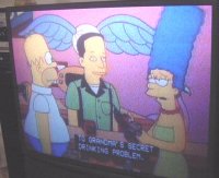 204773-simpsons.jpg