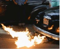 720695-hamb pic2.jpg