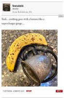 received_722350046233302.jpeg
