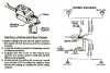 signal wiring universal large size.jpg