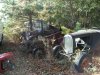 2008_1106runpunkin0007.jpg
