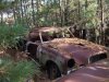 2008_1106runpunkin0023.jpg