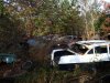 2008_1106runpunkin0025.jpg