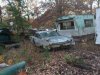 2008_1106runpunkin0035.jpg