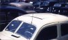 mysunroofcord.JPG