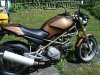 duc2-vi.jpg