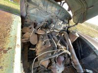 IMG_3978.jpeg