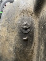 IMG_7385.jpeg