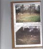 Marks First Handmade Shop3.jpg