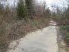 DSC00600.jpg