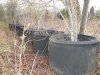 DSC00594.jpg