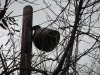 DSC00608.jpg