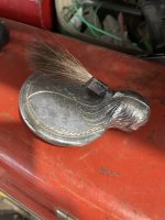 IMG_8331.jpeg