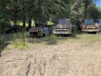IMG_3645.jpeg