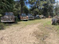IMG_3646.jpeg