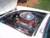 Tbird 016.jpg