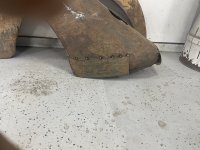 IMG_1174.jpeg