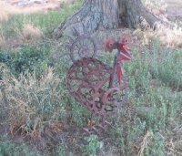 s cornfield party 084crop.jpg