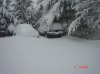 snow day 20610 001.jpg