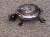 100_2299.jpg