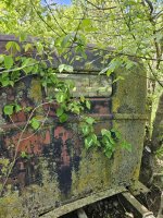 20250526_134840.jpg
