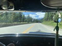 IMG_3771.jpeg