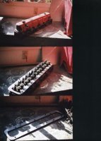 218741-bogus235.jpg